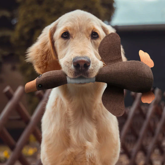 Soft Plush Squeaky Duck Dog Toy with Reinforced Stitching