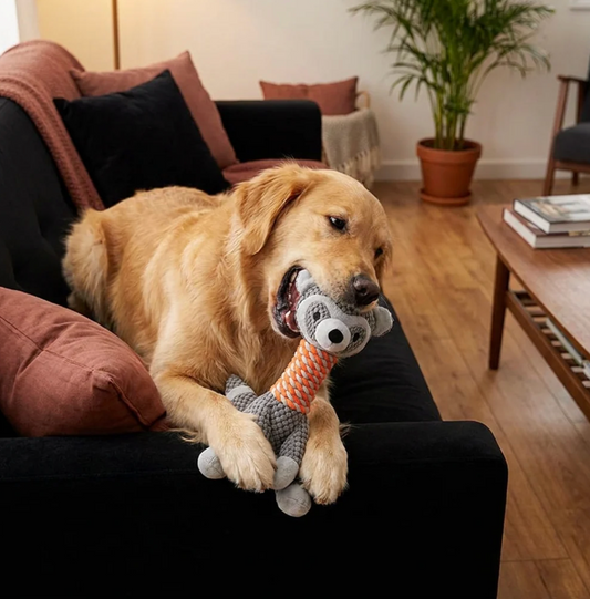 Plush Giraffe Dog Toy with Cotton Rope