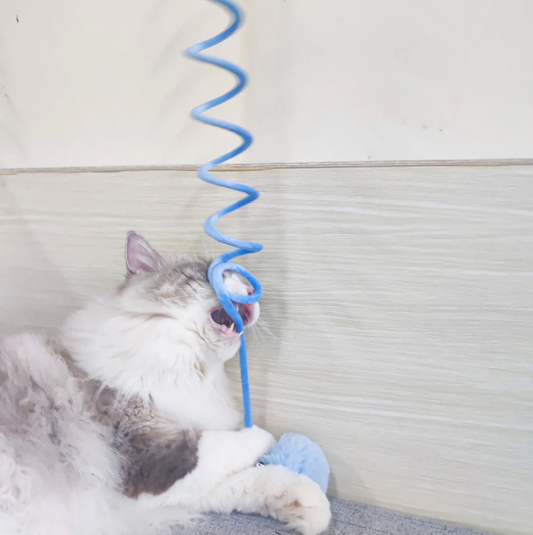 Interactive Bouncing Spring Cat Toy with Plush Ball