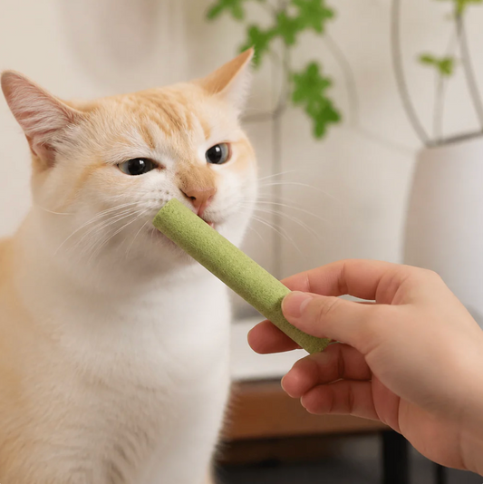 Chicken & Cat Grass Chew Sticks for Cats