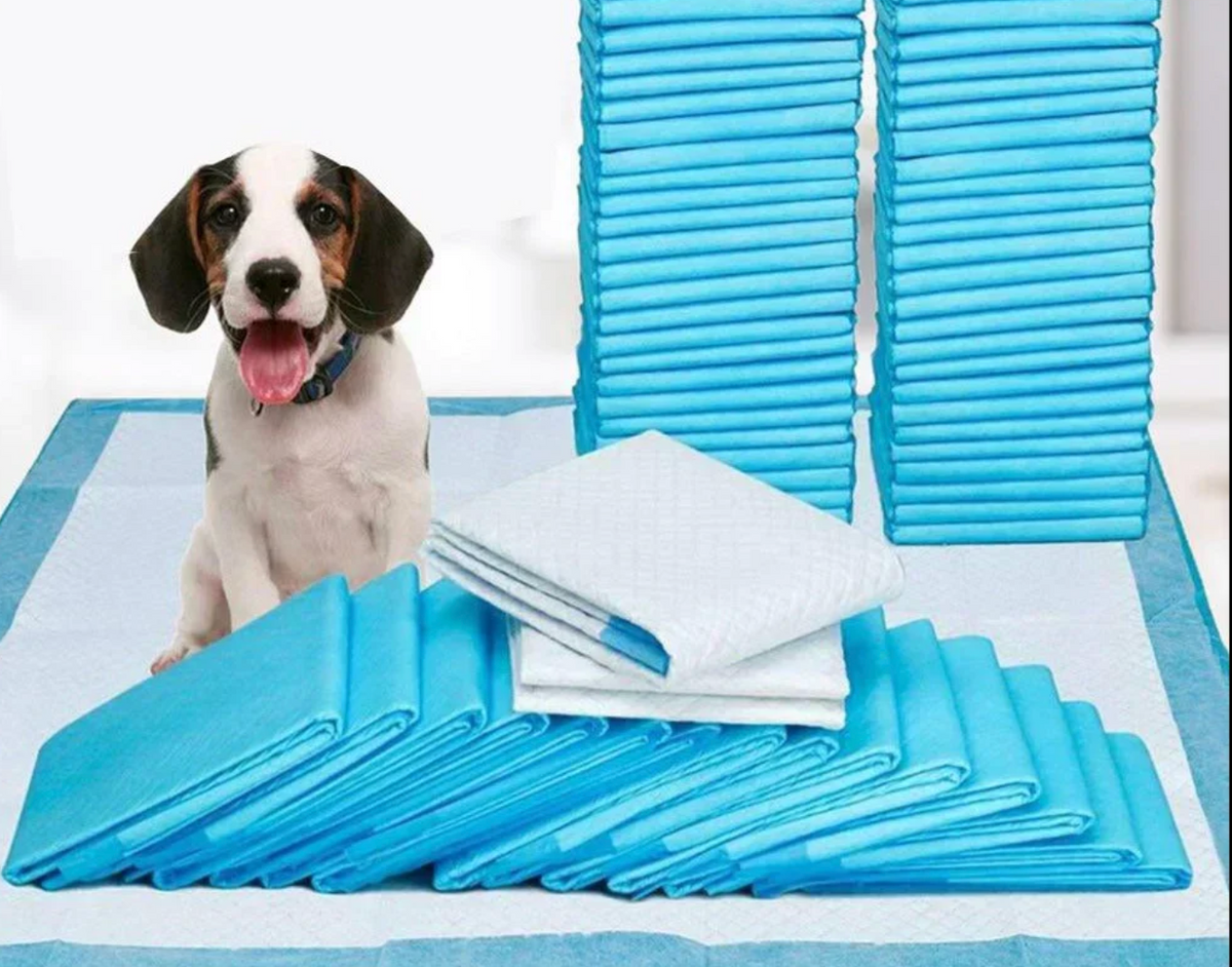 Absorbent Disposable Nappies for Dogs & Cats