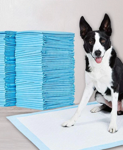 Absorbent Disposable Nappies for Dogs & Cats