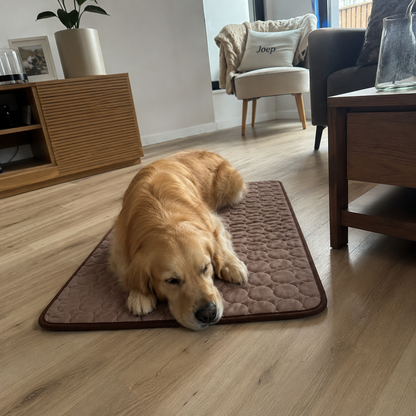 Breathable Summer Cooling Mat for Dogs & Cats