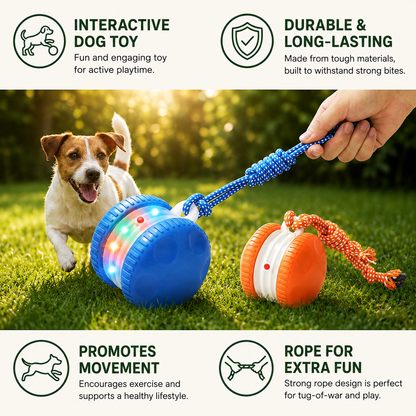 Interactive Smart Rolling Ball for Dogs & Cats