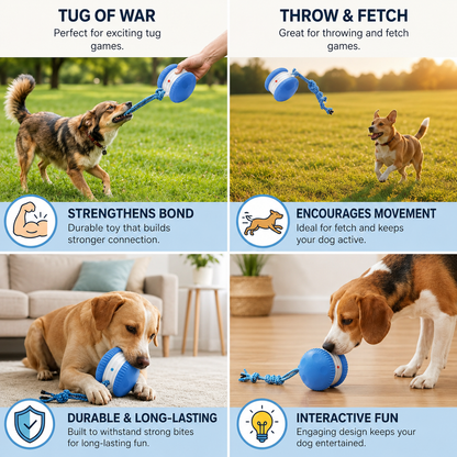 Interactive Smart Rolling Ball for Dogs & Cats
