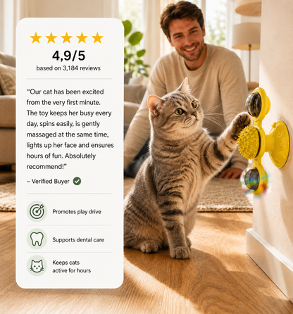 Interactive Wall-Mounted Spinning Cat Toy with Massage Brushes