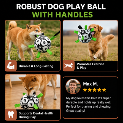 Interactive Floating Dog Football with Grab Tabs