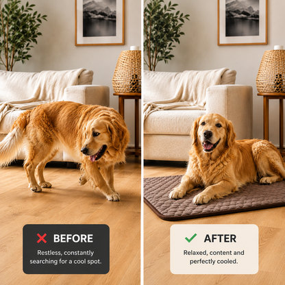 Breathable Summer Cooling Mat for Dogs & Cats