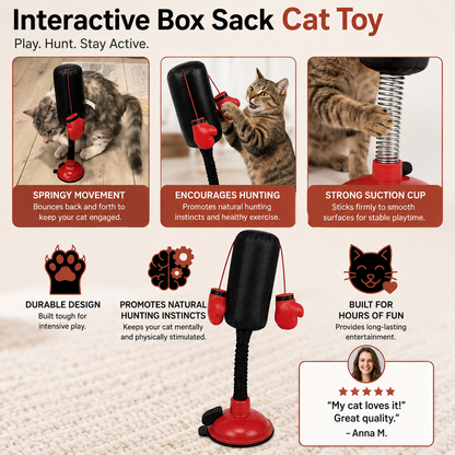 Interactive Suction Cup Punching Cat Toy with Spring-Back Action