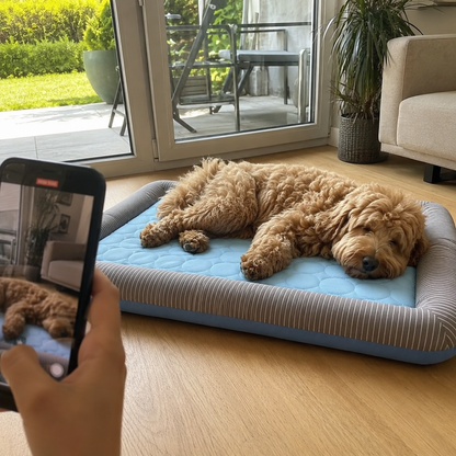 Self-Cooling Summer Bed for Dogs & Cats