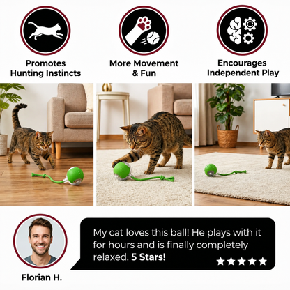 Smart Chase Ball for Cats – Automatic Rolling Toy with Obstacle Detection & USB Rechargeable Battery