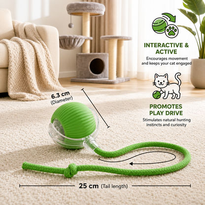 Smart Chase Ball for Cats – Automatic Rolling Toy with Obstacle Detection & USB Rechargeable Battery