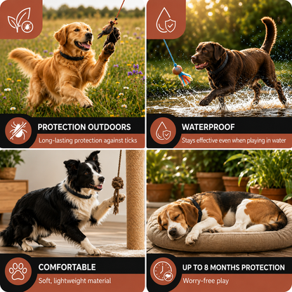 2-in-1 Calming Flea & Tick Collar for Dogs & Cats