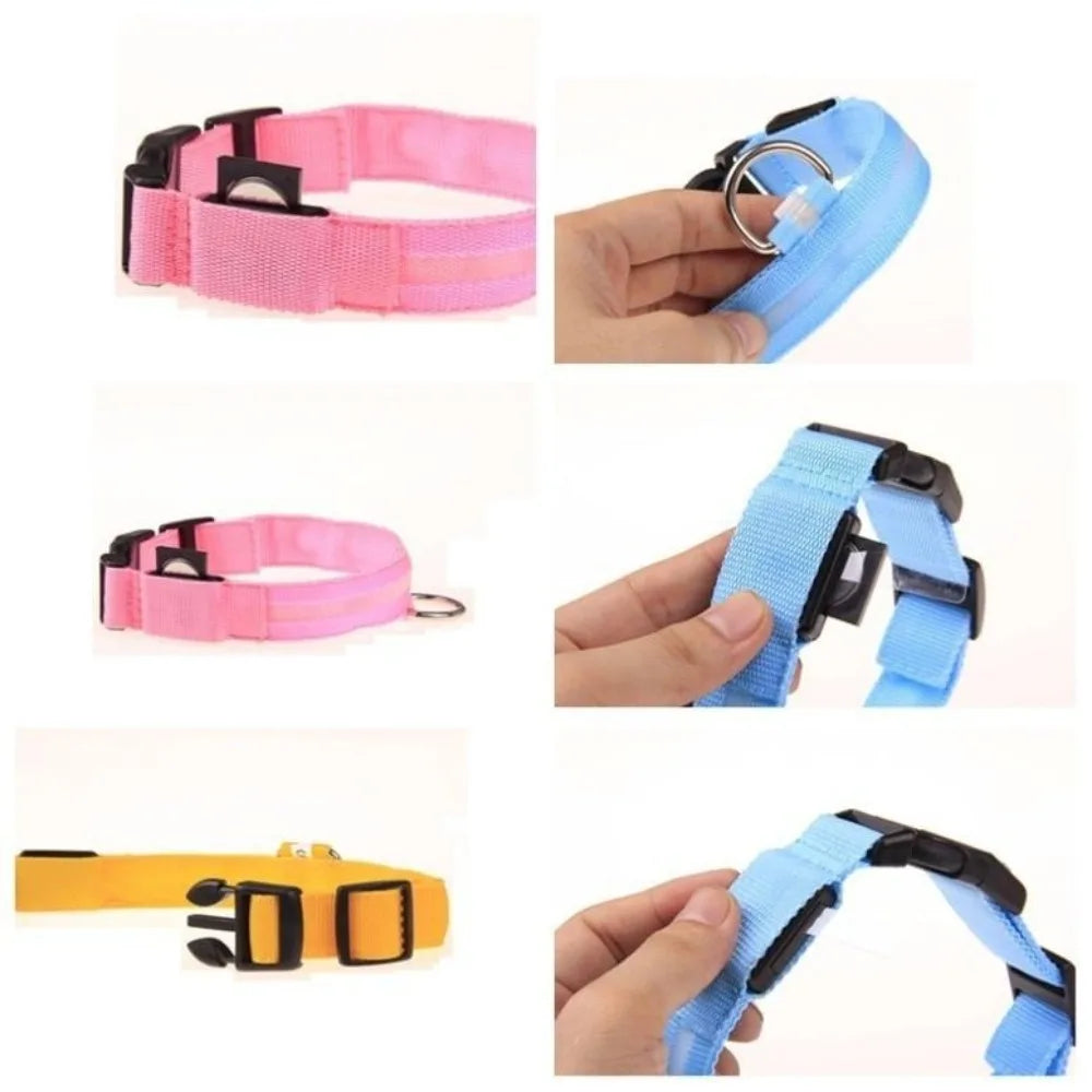 Rechargeable LED Dog Collar with Reflective Strips