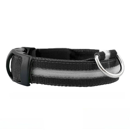 Rechargeable LED Dog Collar with Reflective Strips