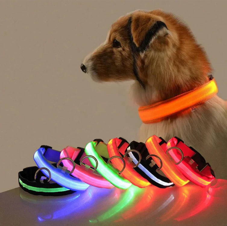 Rechargeable LED Dog Collar with Reflective Strips
