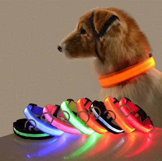 Rechargeable LED Dog Collar with Reflective Strips